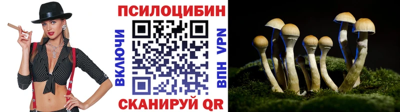 Купить  Осинники  Галлюциногенные грибы Magic Shrooms 