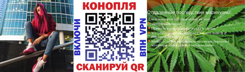 Купить закладки  Осинники  Канабис планчик 